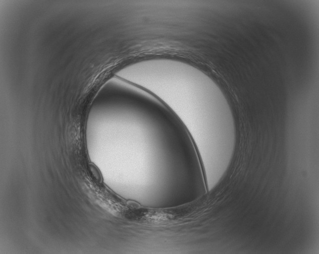 X0000086040407200703230859