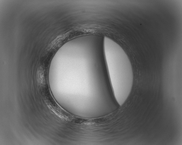 X0000086040408200703230859