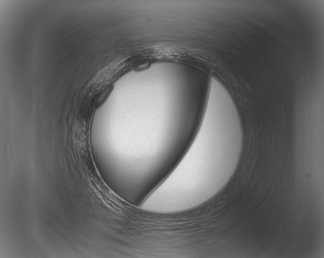 X0000086040413200703230859