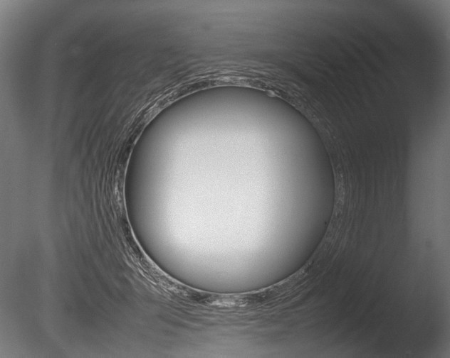 X0000086040415200703230859