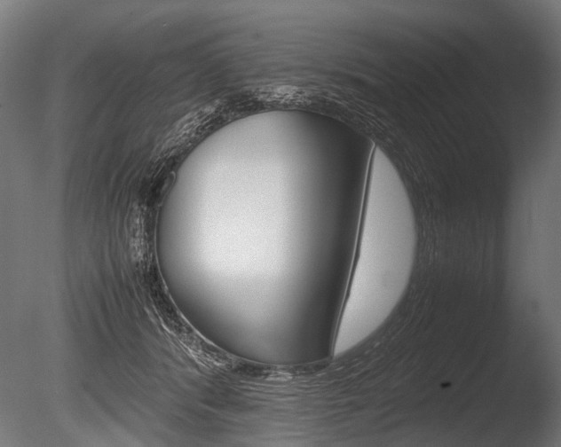 X0000086040416200703230859