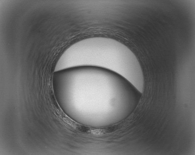 X0000086040417200703230859