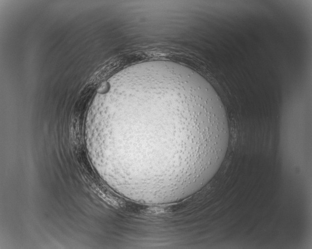 X0000086040418200703230859