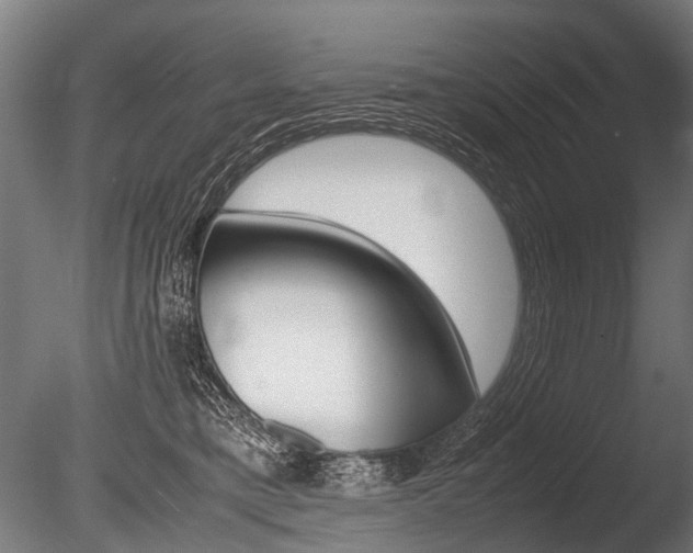 X0000086040421200703230859