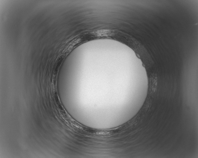 X0000086040422200703230859