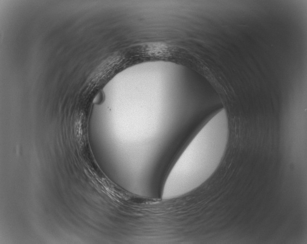 X0000086040424200703230859
