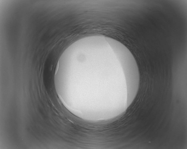 X0000086040431200703230859