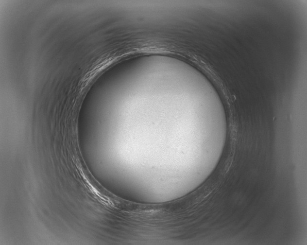 X0000086040433200703230858