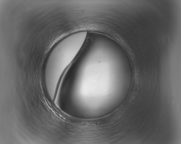 X0000086040434200703230858