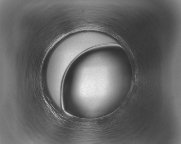 X0000086040436200703230858