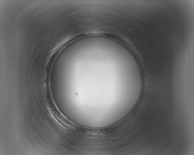 X0000086040443200703230858