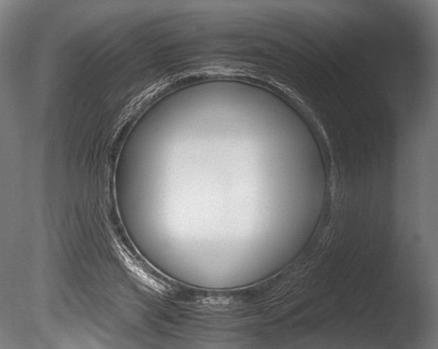 X0000086040445200703230858