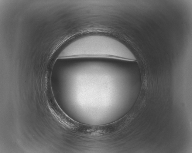 X0000086040448200703230858