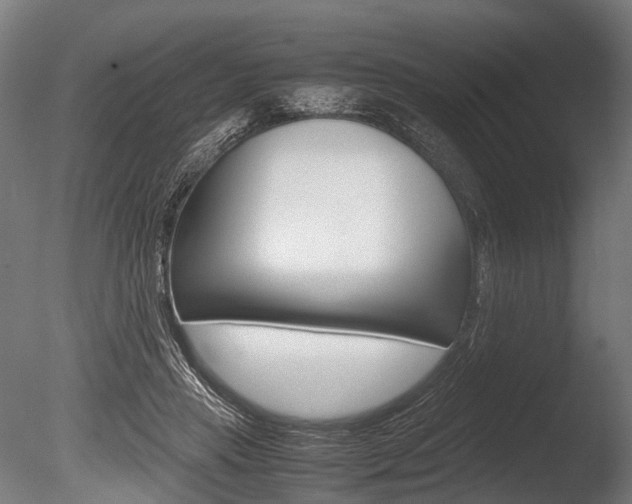 X0000086040453200703230858