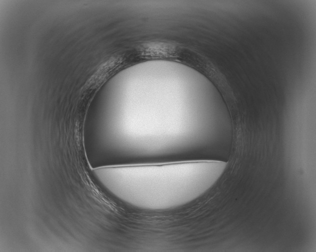 X0000086040457200703230858
