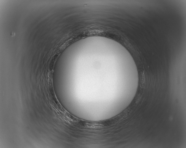 X0000086040463200703230859