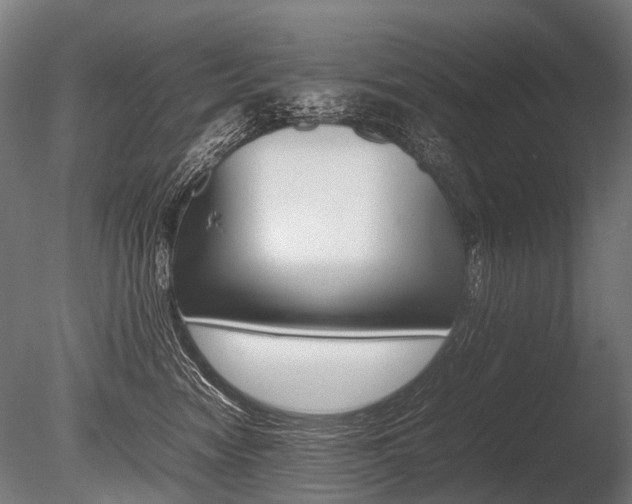 X0000086040474200703230859
