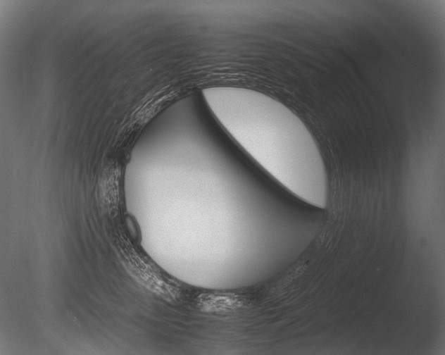 X0000086040475200703230859