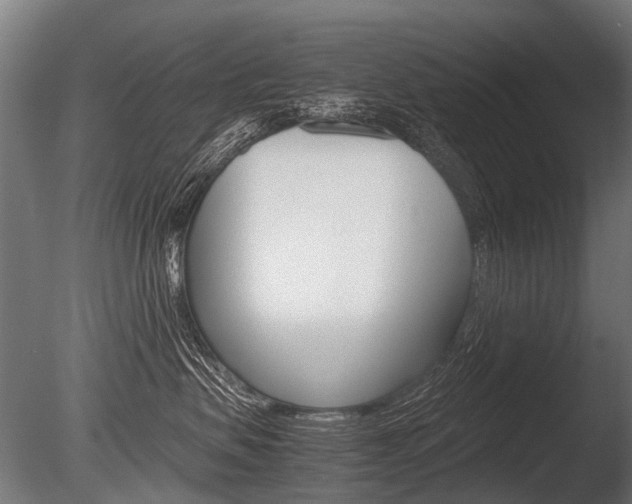 X0000086040479200703230859