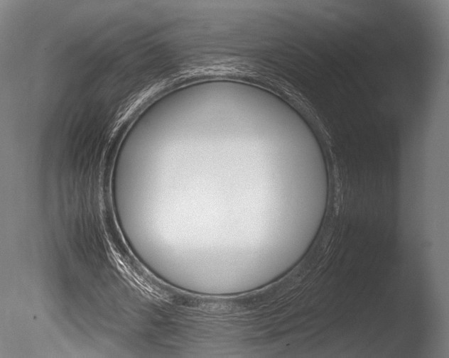 X0000086040482200703230858