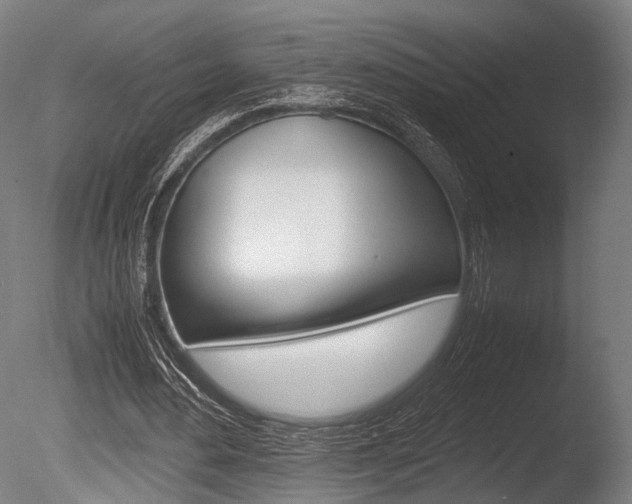 X0000086040484200703230858