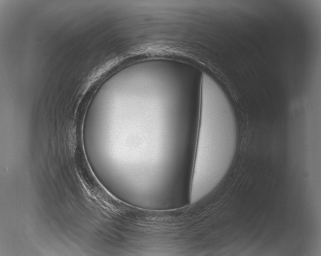 X0000086040488200703230858
