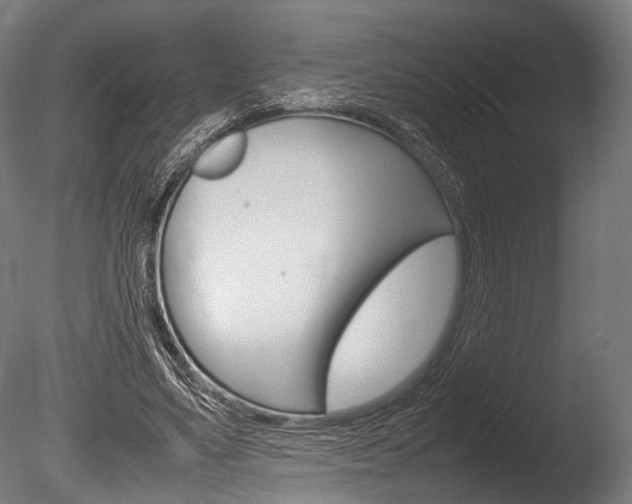 X0000086040491200703230858