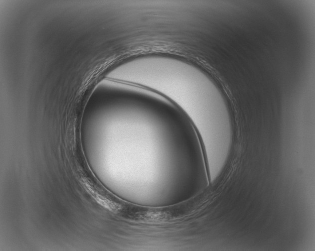 X0000086040493200703230858