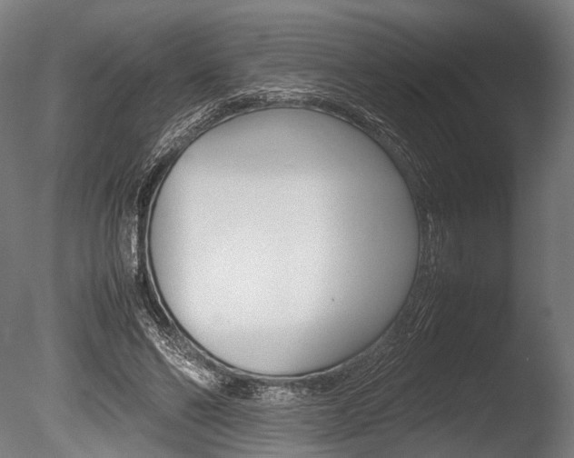 X0000086040494200703230858