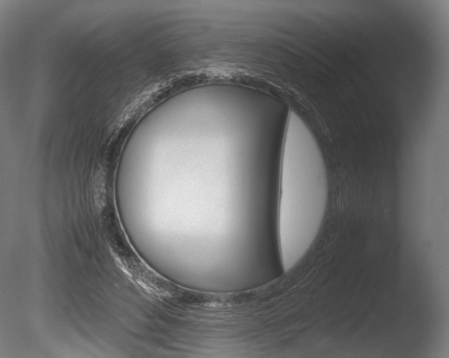 X0000086040496200703230858
