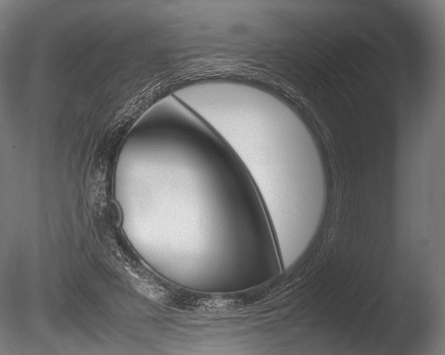 X0000086040497200703230858
