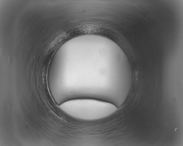X0000086040499200703230858