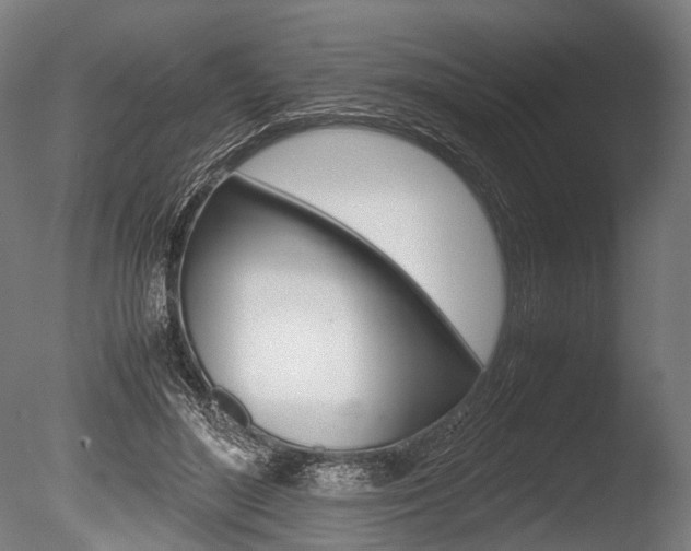 X0000086040500200703230858