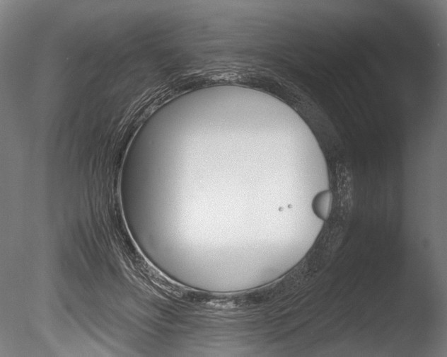 X0000086040502200703230858
