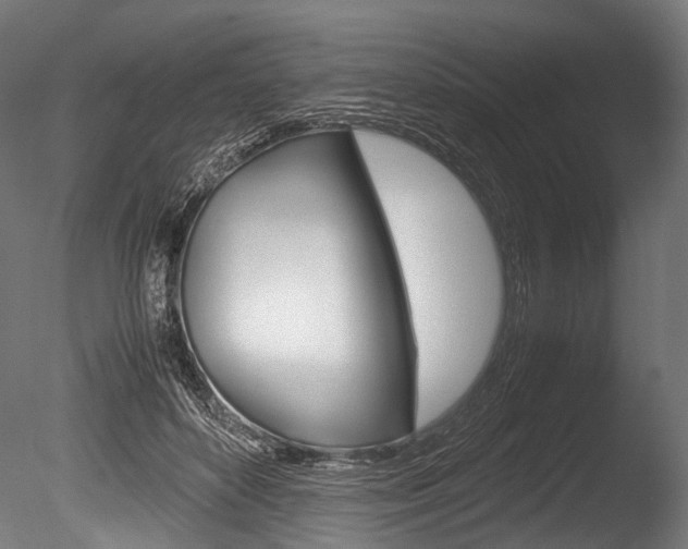 X0000086040504200703230858