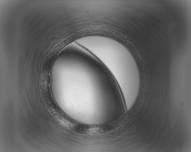 X0000086040505200703230858