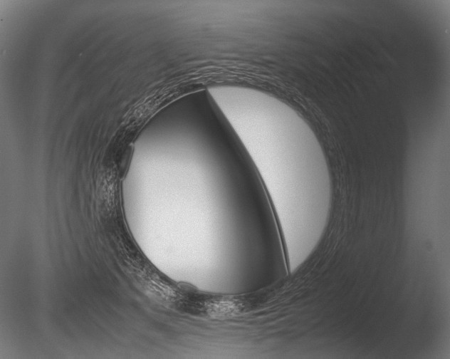 X0000086040513200703230857
