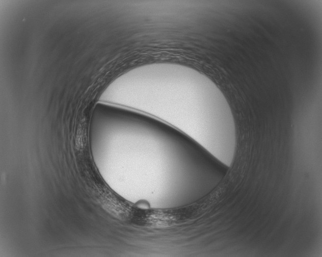 X0000086040515200703230857