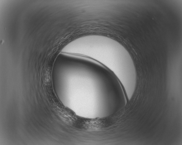 X0000086040517200703230857