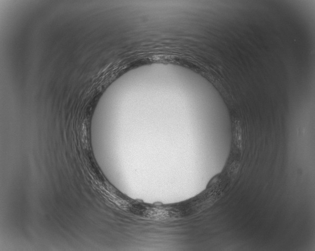 X0000086040523200703230857