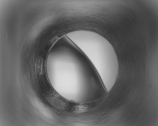X0000086040525200703230857