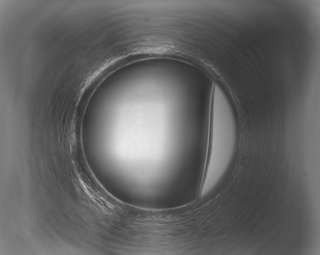 X0000086040532200703230856