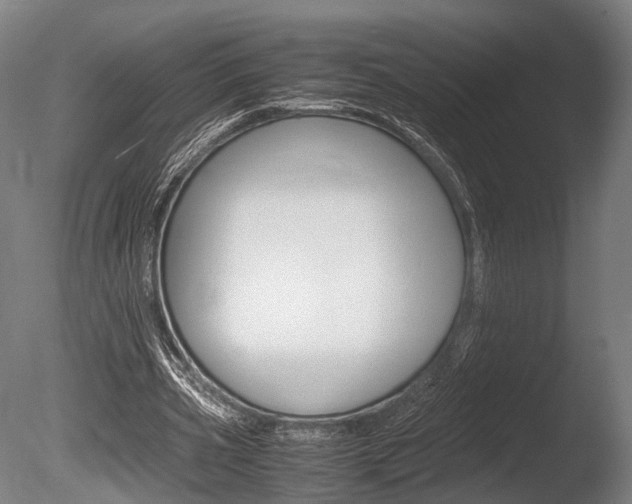 X0000086040533200703230856