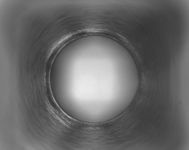 X0000086040535200703230856