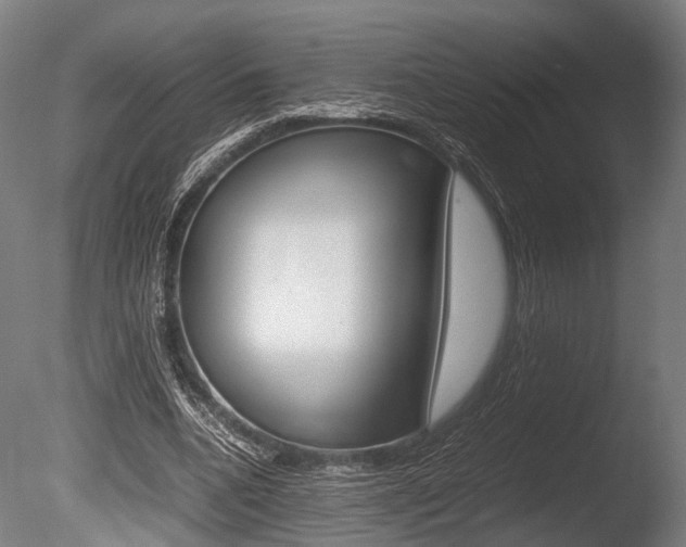 X0000086040536200703230857