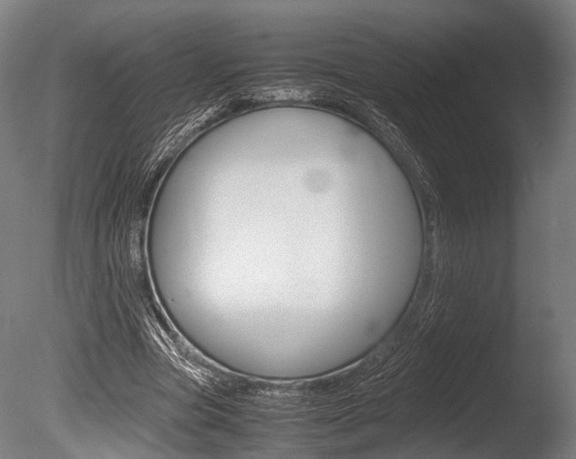 X0000086040537200703230857