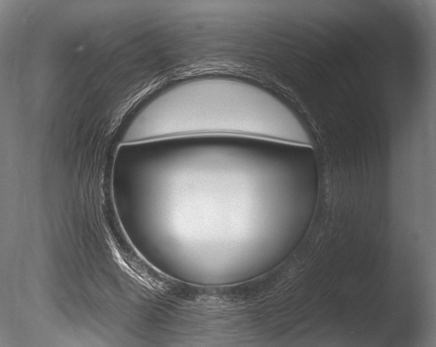 X0000086040538200703230857