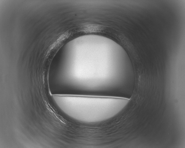 X0000086040539200703230857