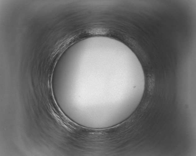 X0000086040541200703230857