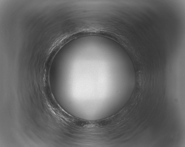 X0000086040544200703230857
